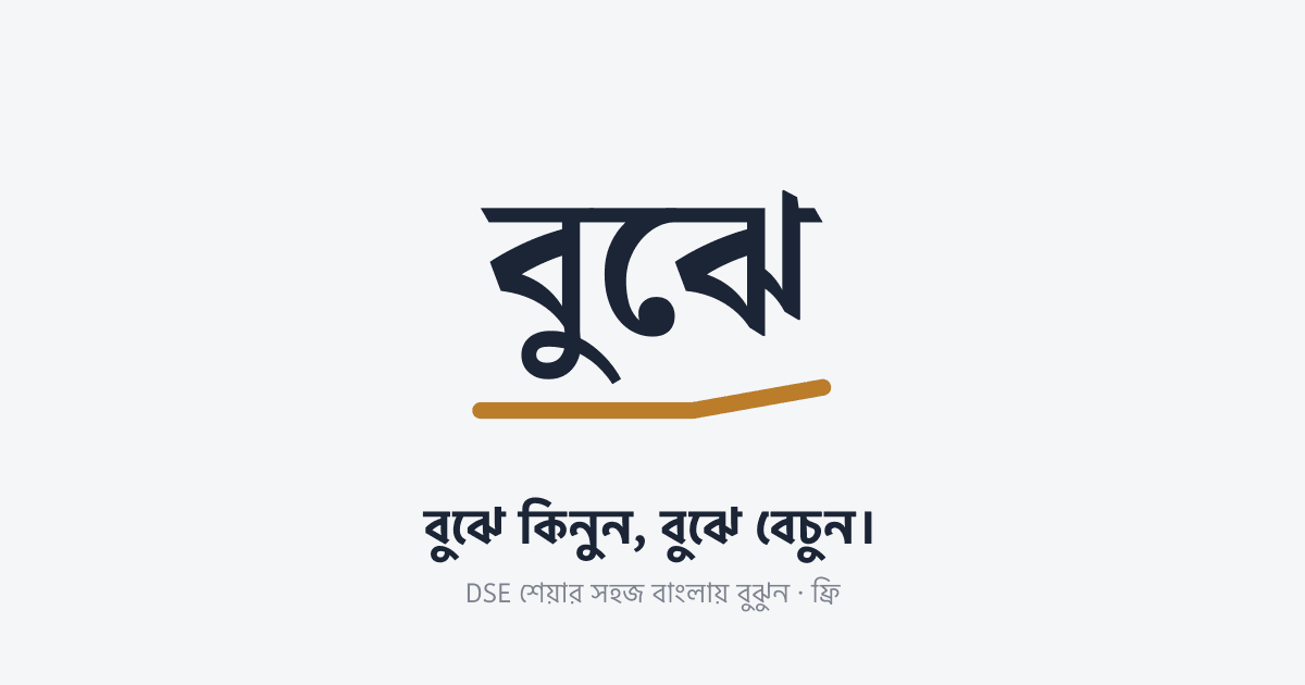 শেয়ারের সংখ্যাগুলো বোঝেন না? EPS, P/E, NAV সহজ বাংলায় বুঝে নিন