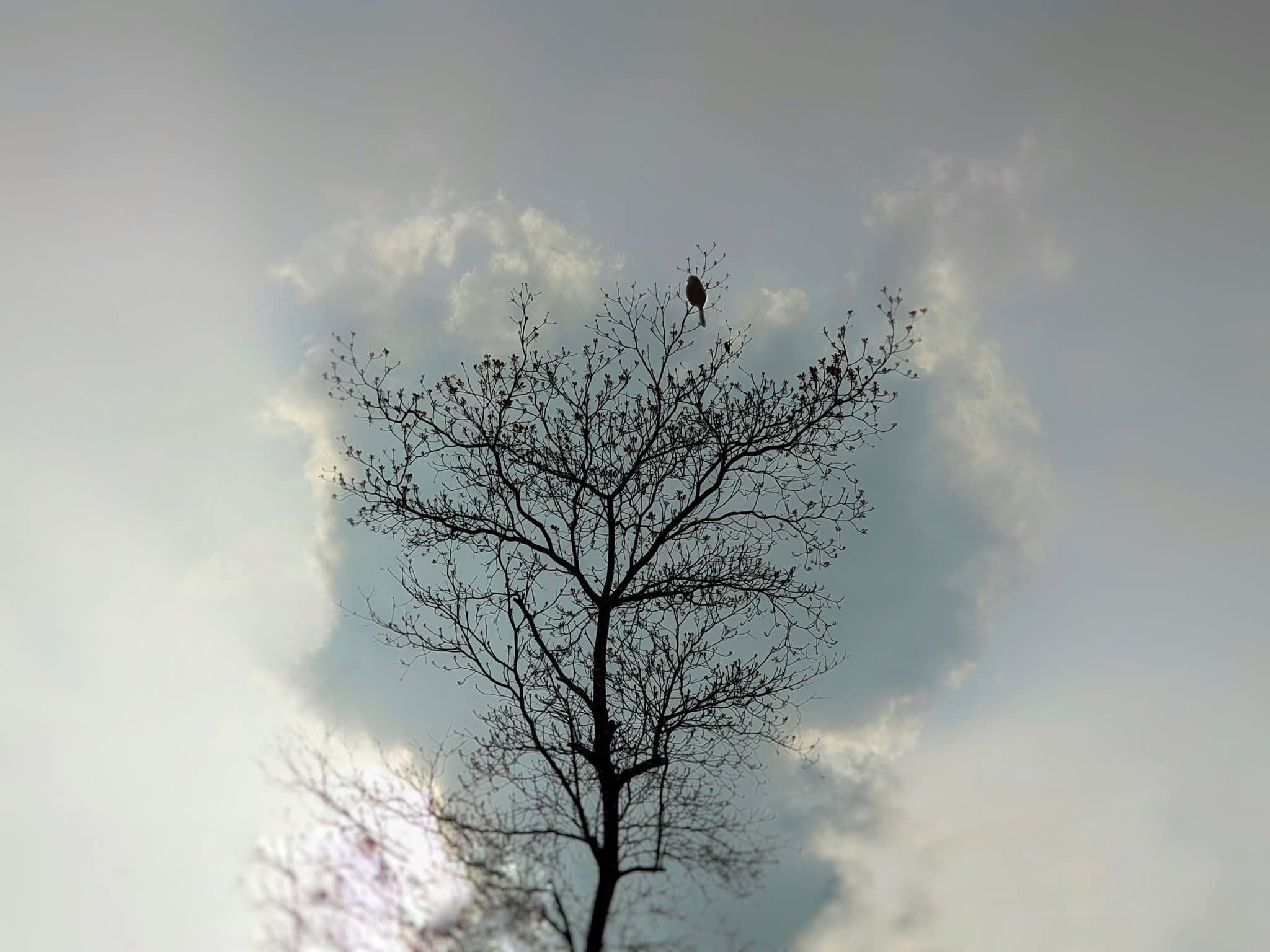 হয়তো এই জন্যই বেঁচে আছি